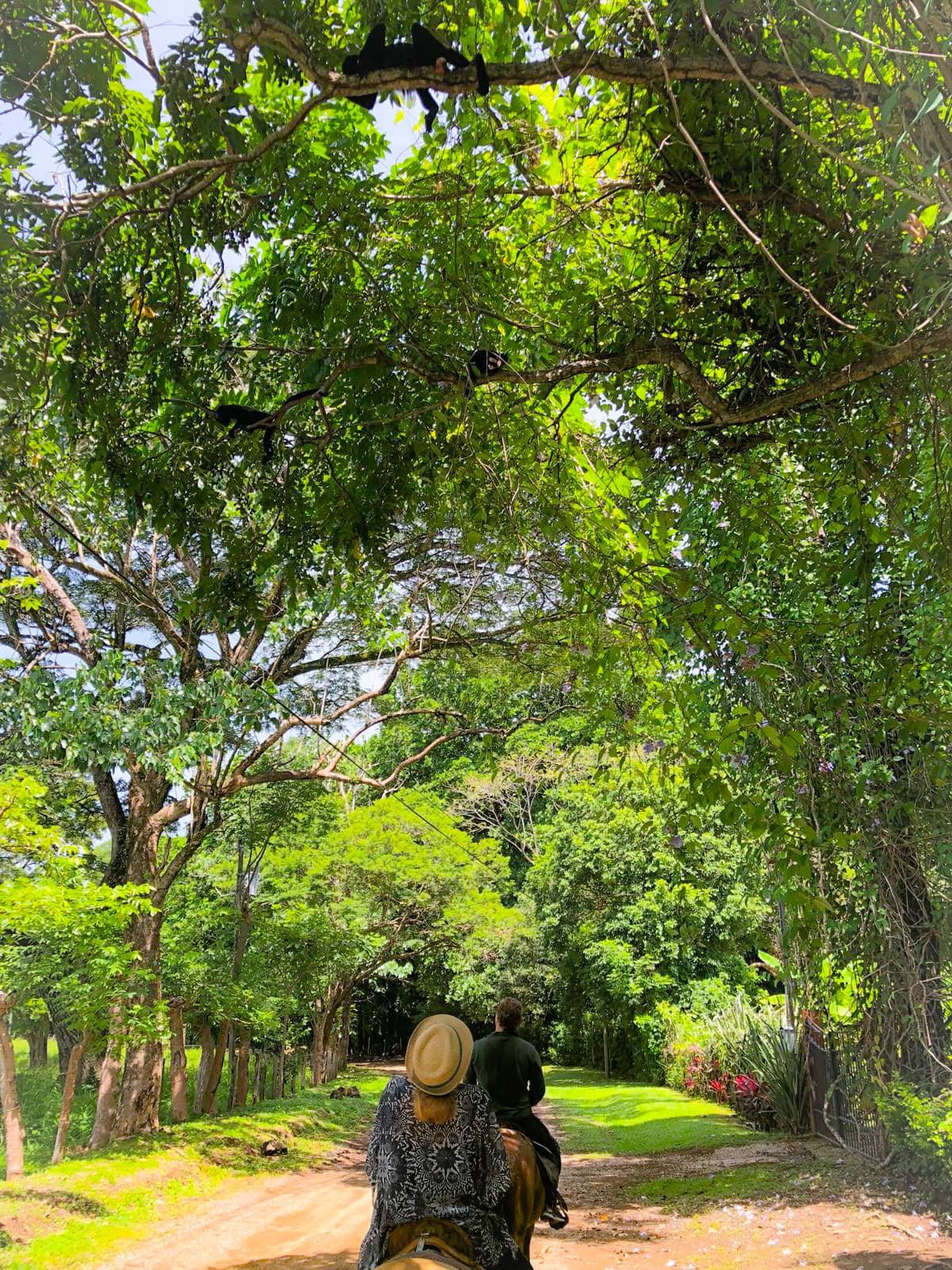 Horseback riding with monkeys